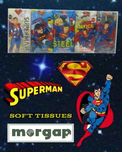 Picture of EUROPIAN CHARACTERS FASION SMART TISSUE 30X1