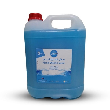 Picture of liquid hand soap