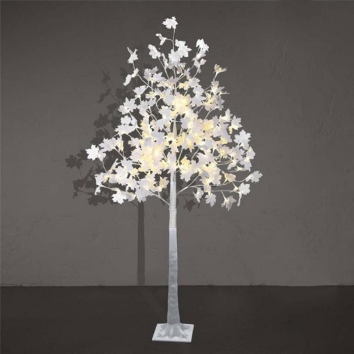 Picture of white maple tree light