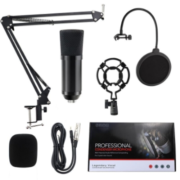Picture of Professional Condenser Microphone
