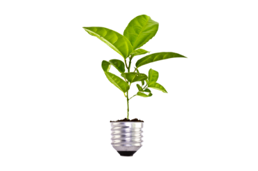 Picture for category Agriculture 