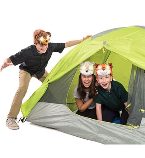 Picture of Cat Headlights